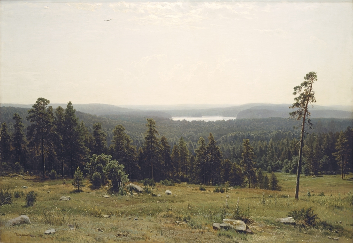 И.И.Шишкин   "Дали" картина пейзаж репродукция репродукции художник живопись